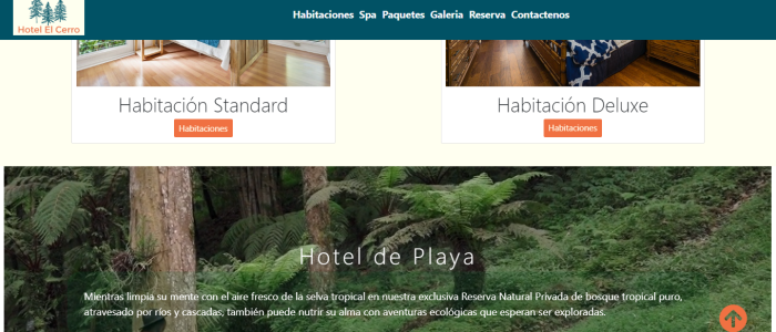 Screenshot Hotel site showing home page